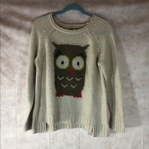 Democracy Cream Owl Sweater
